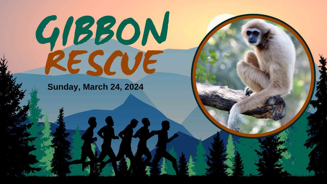 Rescue Gibbon